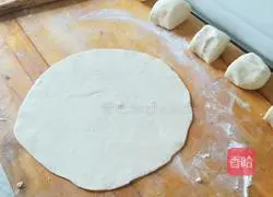 Illustration of home-style potato shredded burritos 3