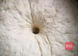 Illustration of how to make egg, tofu and vermicelli stuffed buns 3