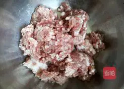 Illustration of how to make pork and fennel dumplings 6