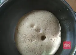  Illustration of how to make bean dregs steamed buns 4