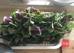 Illustration of how to make amaranth stuffed dumplings 2