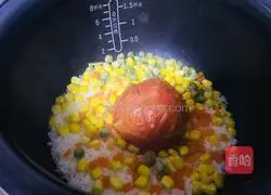 Illustration of tomato braised rice 5