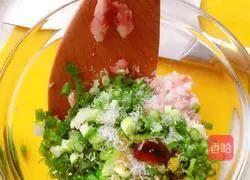 Soup dumplings recipe 6