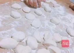 Illustration of how to make cabbage and pork dumplings 7