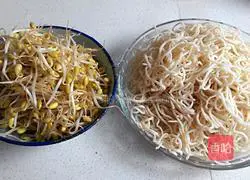 Vegetable Fried Noodles Recipe Illustration 2