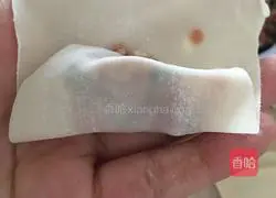 Illustration of how to make homemade meatball wontons 8