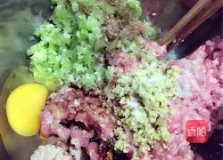 Pork Wonton Recipe Illustration 3