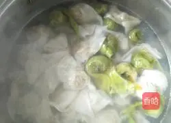 Illustration of how to make seaweed and shrimp skin wontons 4