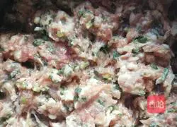 Illustration of how to make lean meat dumplings 3