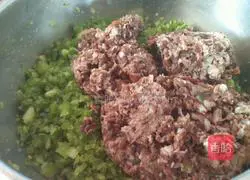 Illustration of Northeast Mushroom and Big Chili Pork Dumplings 5