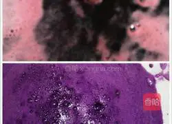 Illustration of how to make colorful dumplings 3