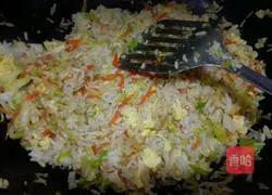 Assorted Fried Rice Recipe Illustration 4