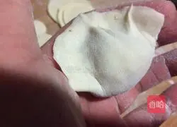 Illustration of how to make dumplings stuffed with pork and celery 14