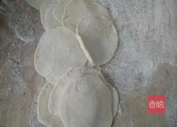 Illustration of how to make pork and green onion dumplings 3