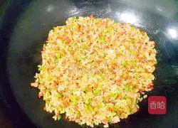 Illustration of Sanding Fried Rice 13