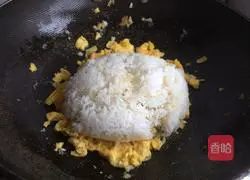 Egg Fried Rice Illustration of practice 14