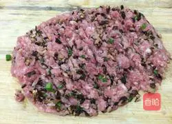 Illustration of how to make minced pork wontons 2