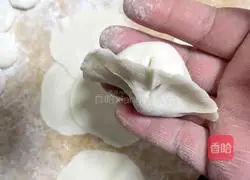 Illustration of how to make beef and mushroom dumplings 8