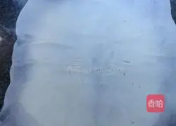 Hand Illustration of how to catch the cake embryo 8