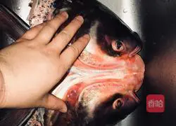 Illustration of making fish head cakes 2