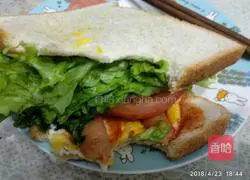 Illustration of homemade breakfast sandwich 19