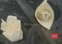 Illustration of how to make mushroom wontons 9