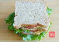 Illustration of how to make a sandwich 8