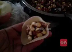 Dumplings Illustration of how to do it 8