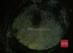 Pie...Illustration of how to make fennel meat filling 19