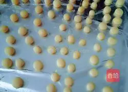 Illustration of how to make Wangzai steamed buns (purely handmade) 4