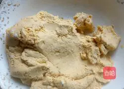 Pumpkin sesame cake recipe illustration 1