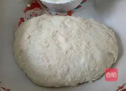 Illustration of how to make pork and green onion dumplings 2