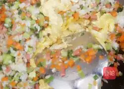 Assorted Fried Rice Recipe Illustration 11