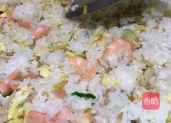 Assorted Fried Rice Recipe Illustration 6