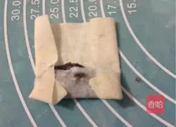 Illustration of how to make spring rolls with wonton wrappers 4