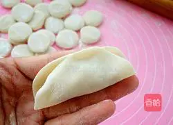 Bitter melon dumplings recipe 14