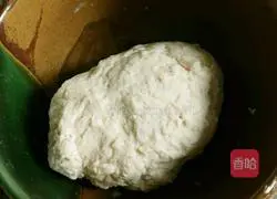 Pork and celery dumplings recipe 4