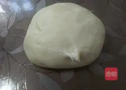 Illustration of how to make sesame cakes 2