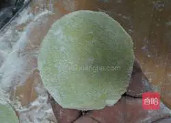 Illustration of how to make vegetarian three fresh stuffed dumplings 12