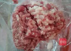 Illustration of Homemade Dumplings 3