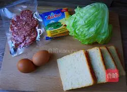 Illustration of making salami sausage sandwich 1