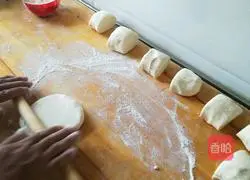 Illustration of home-style potato shredded burritos 1