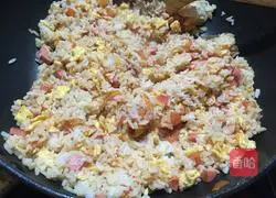 Illustration of tomato and duck egg fried rice 9