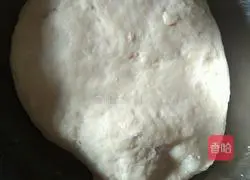 Leek and Egg Dumplings Illustration of how to do it 7