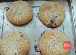 Illustration of grilled onion and beef pie 19