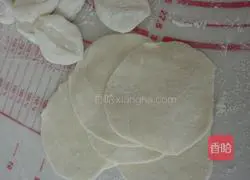 Illustration of how to make handmade dumplings 14