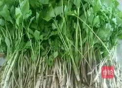 Illustration of how to make celery buns 1