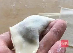 Guanmao Wonton Tutorial Illustration 7