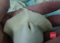 Illustration of how to make three fresh dumplings 5