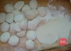 Illustration of how to make beef and fennel filling dumplings 5